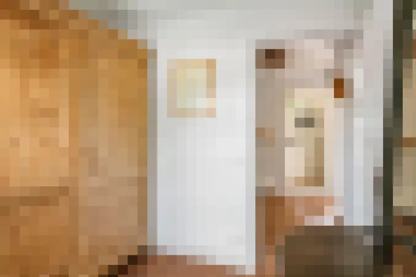 Gasthuisstraat 8 Buren thumbnail 62