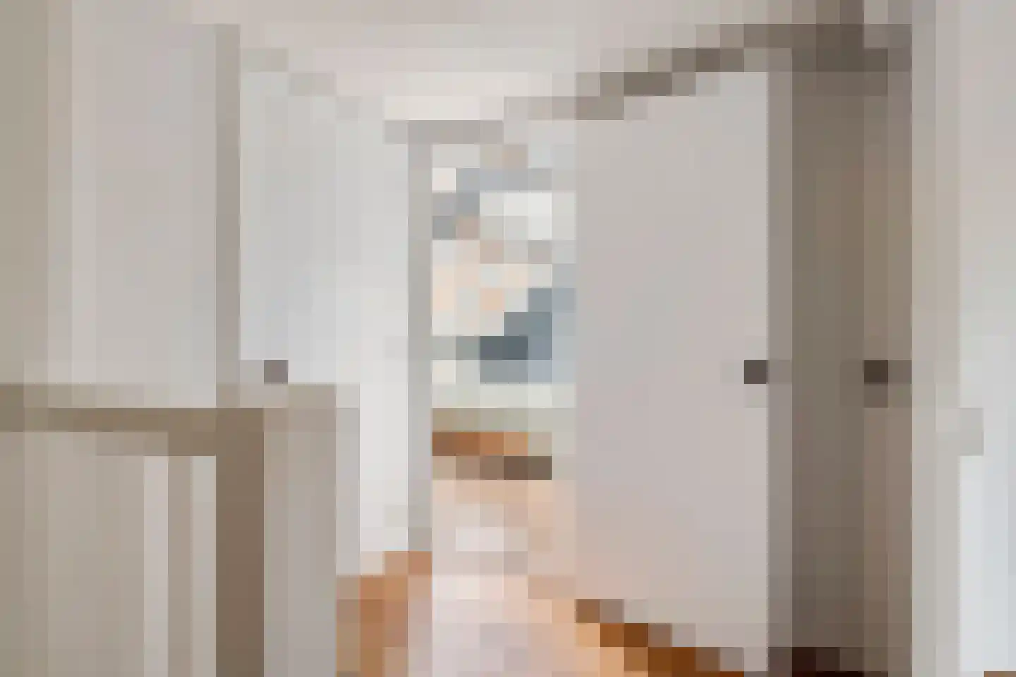 Gasthuisstraat 8 Buren thumbnail 65