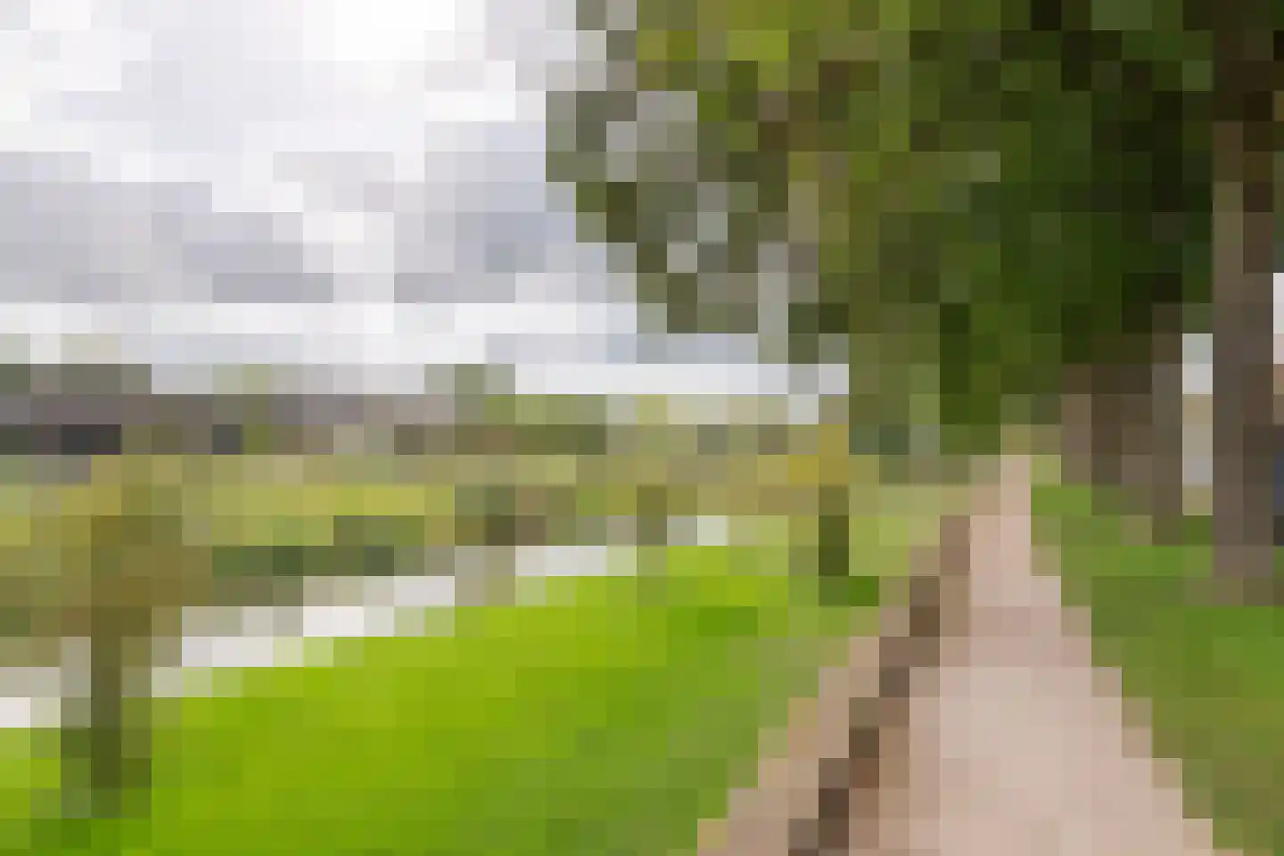 Gasthuisstraat 8 Buren thumbnail 68