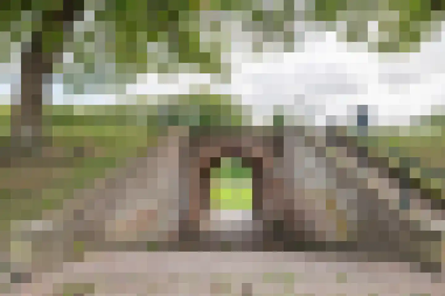 Gasthuisstraat 8 Buren thumbnail 69