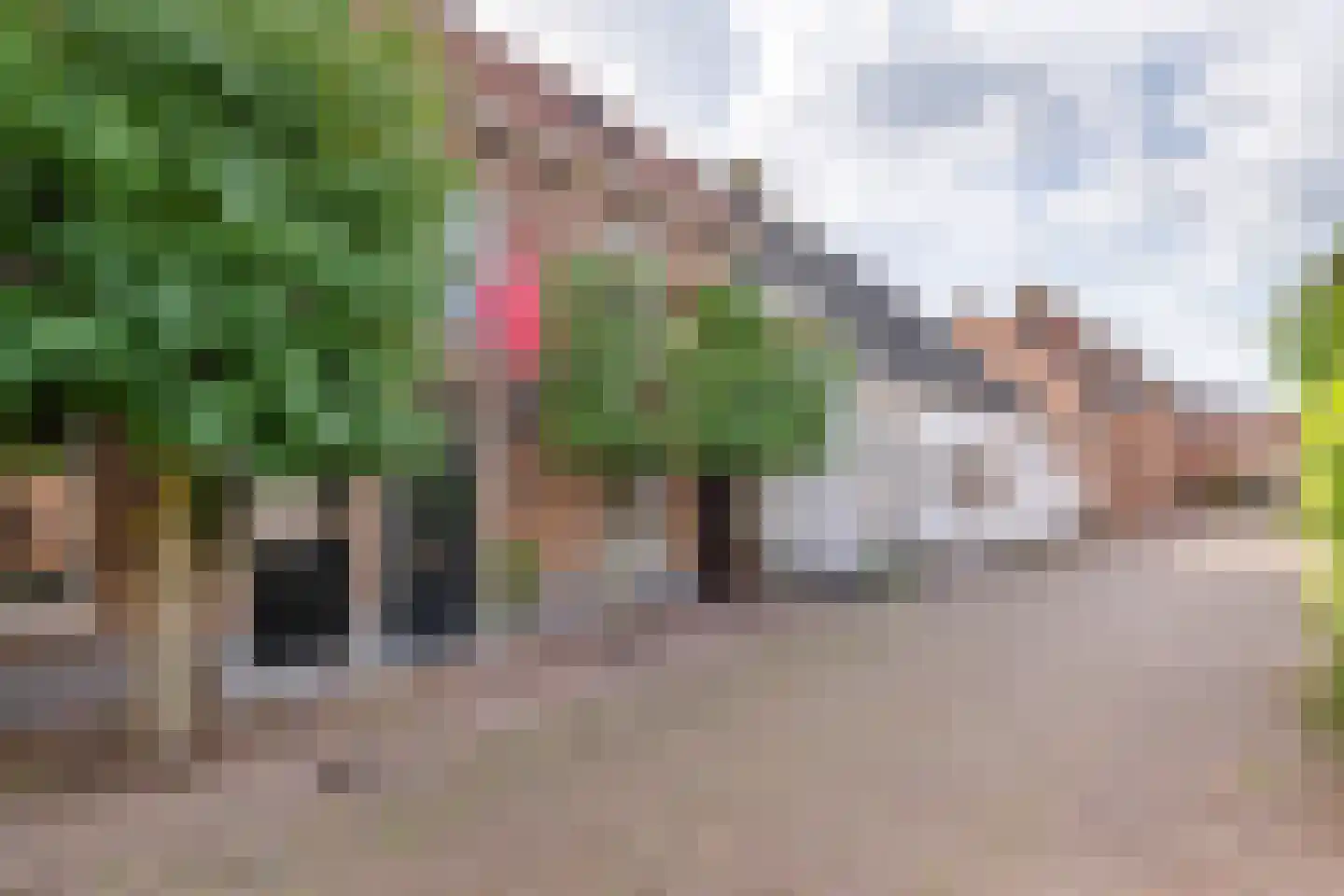 Gasthuisstraat 8 Buren thumbnail 7