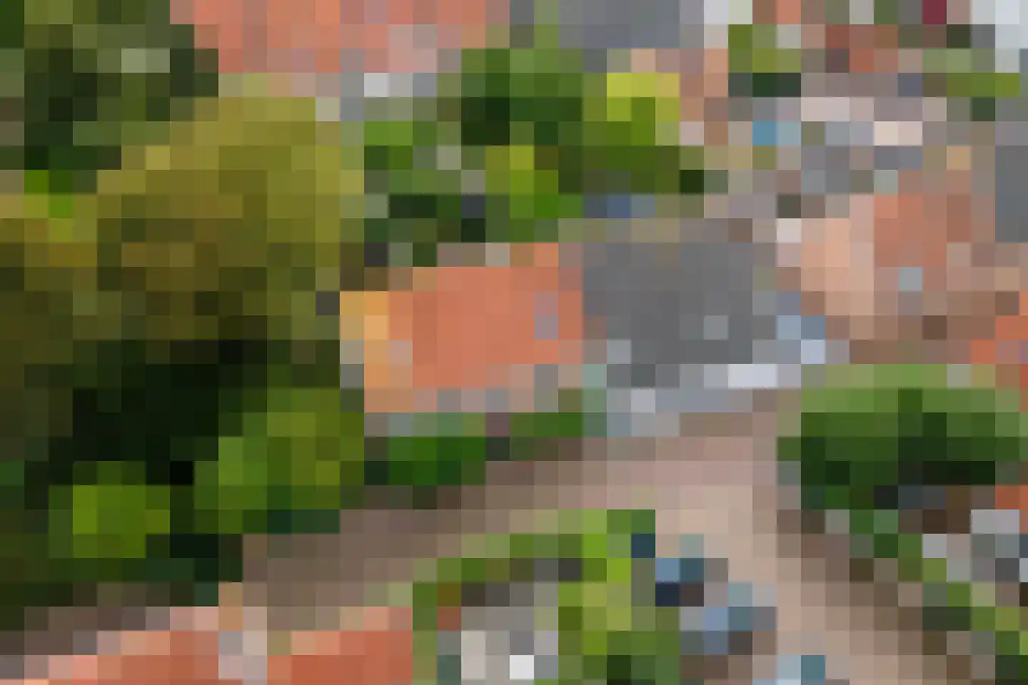 Gasthuisstraat 8 Buren thumbnail 70