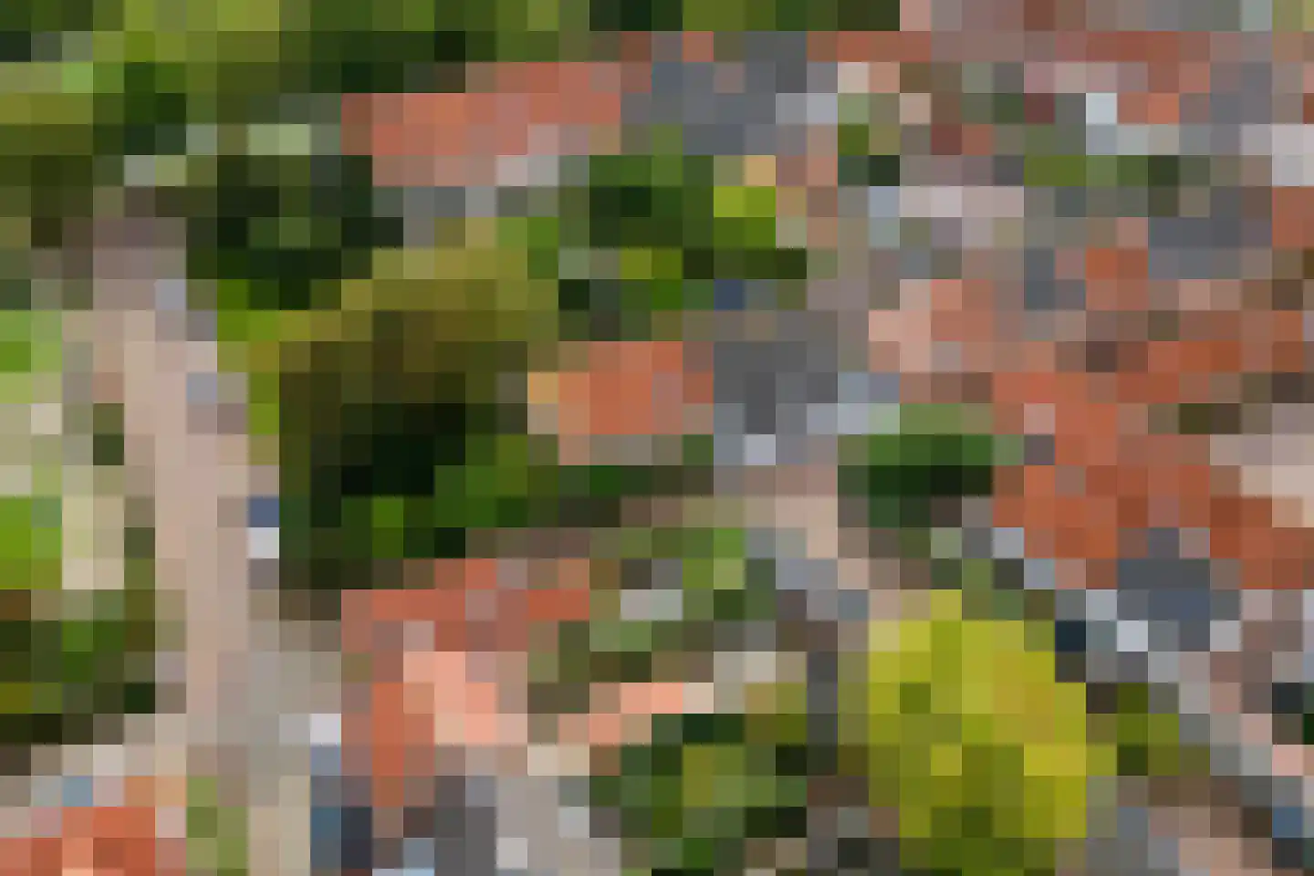 Gasthuisstraat 8 Buren thumbnail 71
