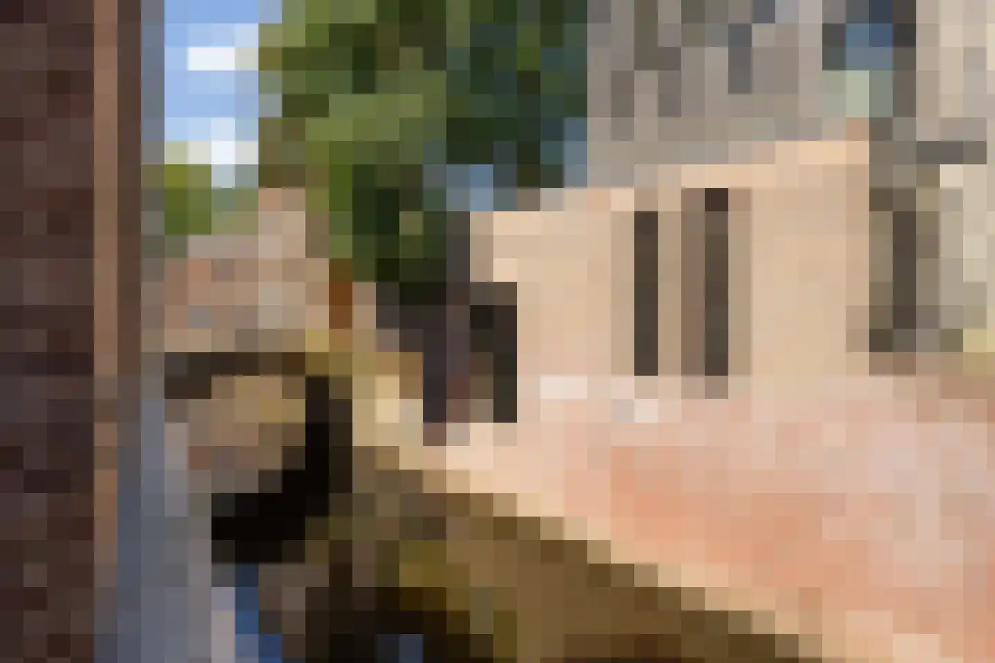 Gasthuisstraat 9 's-Hertogenbosch thumbnail 11