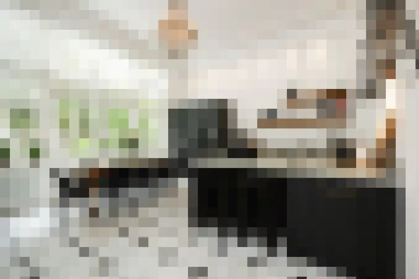 Gasthuisstraat 9 's-Hertogenbosch thumbnail 14