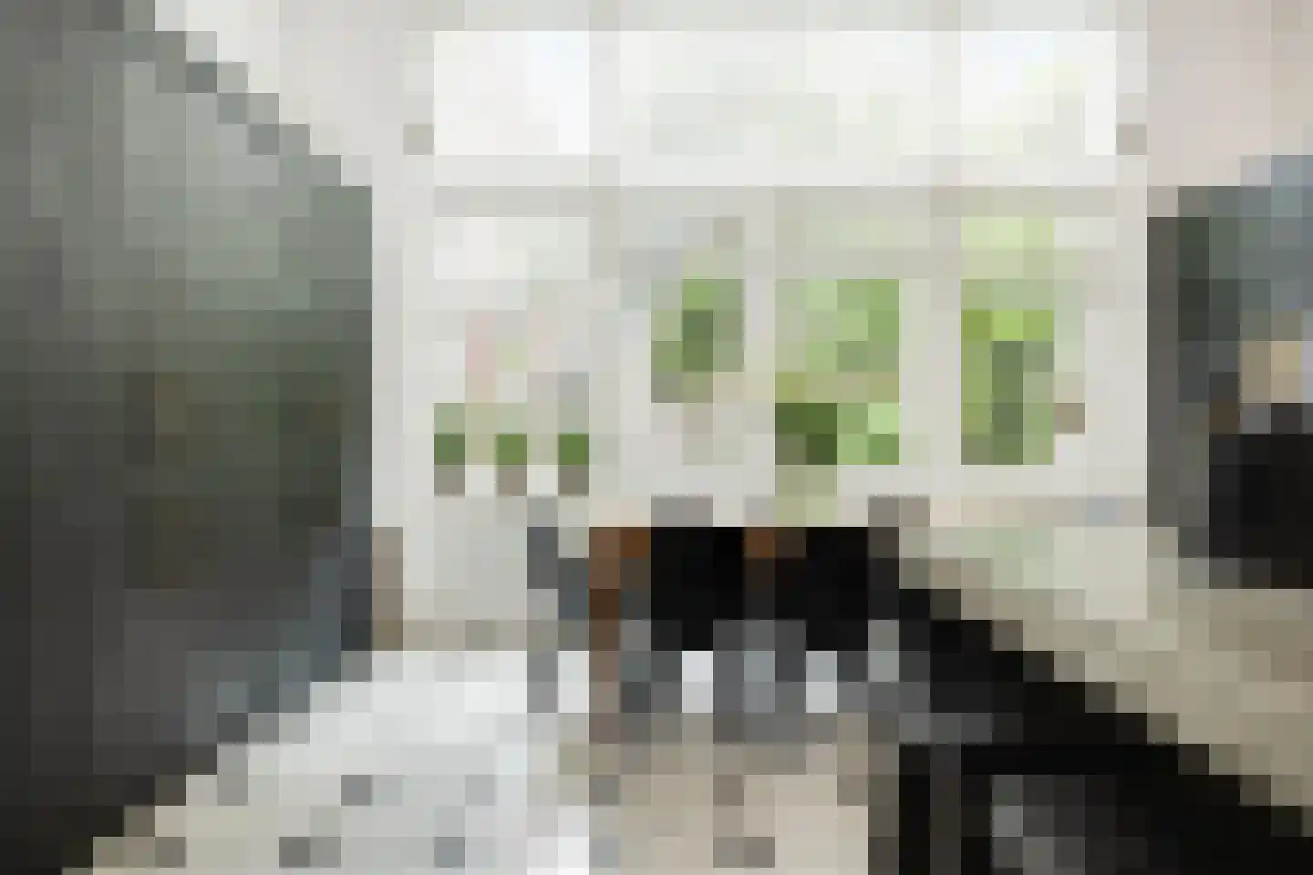 Gasthuisstraat 9 's-Hertogenbosch thumbnail 17