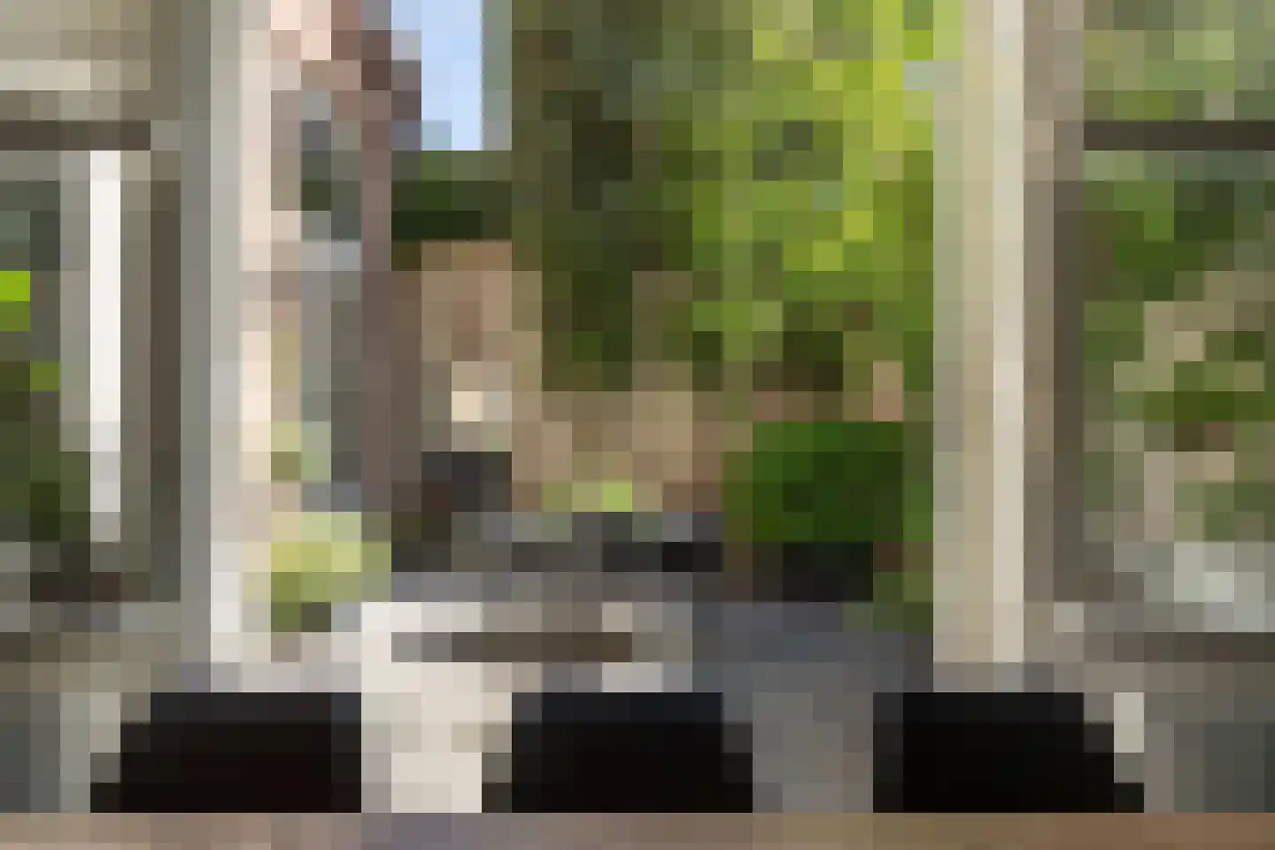 Gasthuisstraat 9 's-Hertogenbosch thumbnail 18