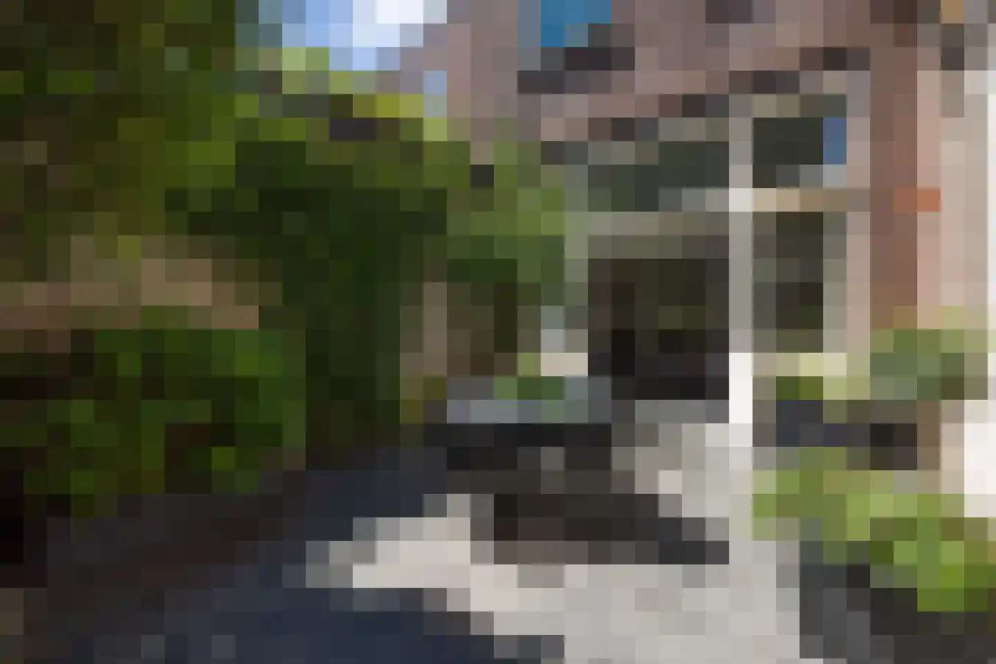 Gasthuisstraat 9 's-Hertogenbosch thumbnail 19