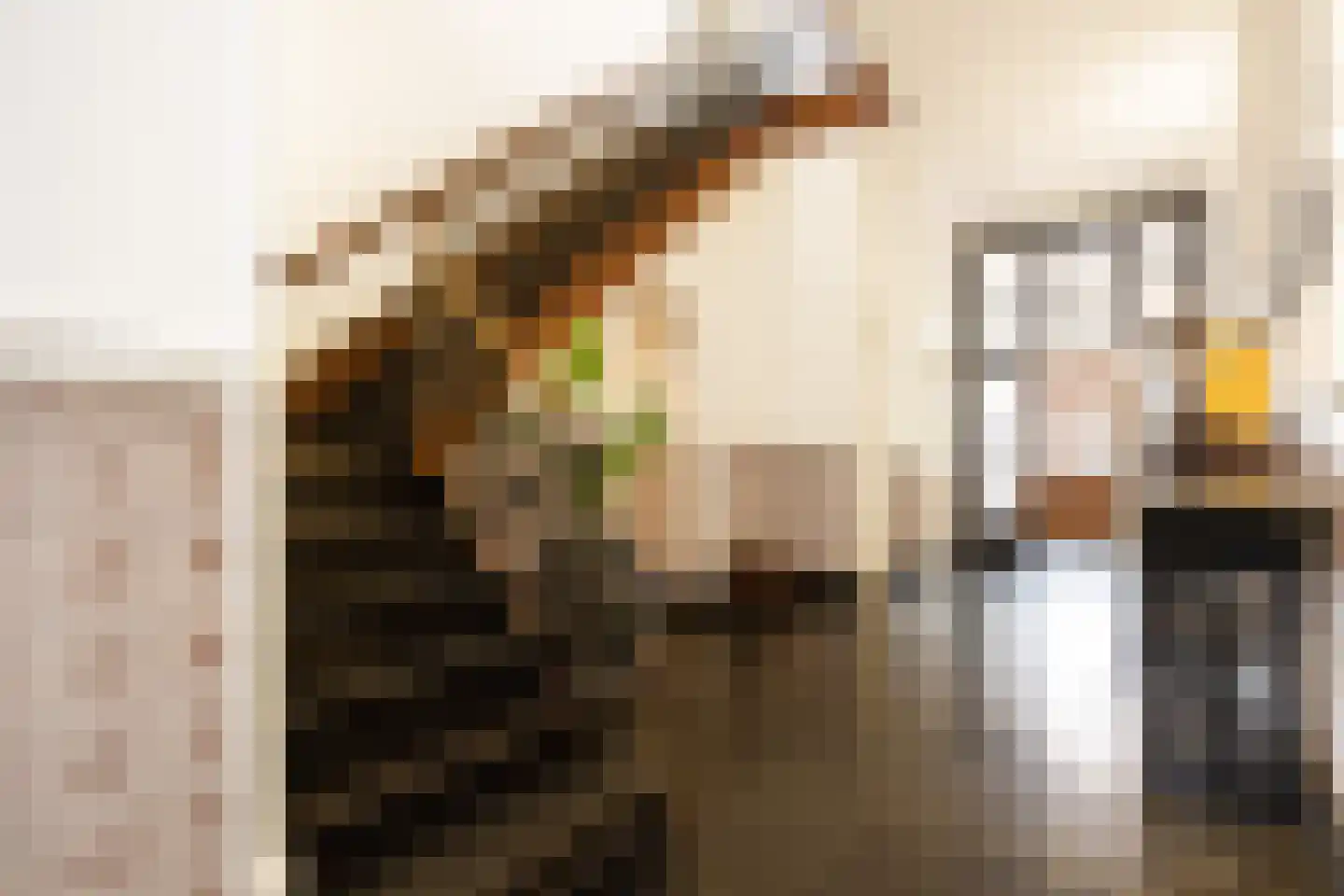Gasthuisstraat 9 's-Hertogenbosch thumbnail 24
