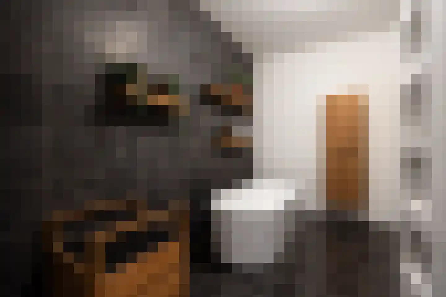 Gasthuisstraat 9 's-Hertogenbosch thumbnail 27
