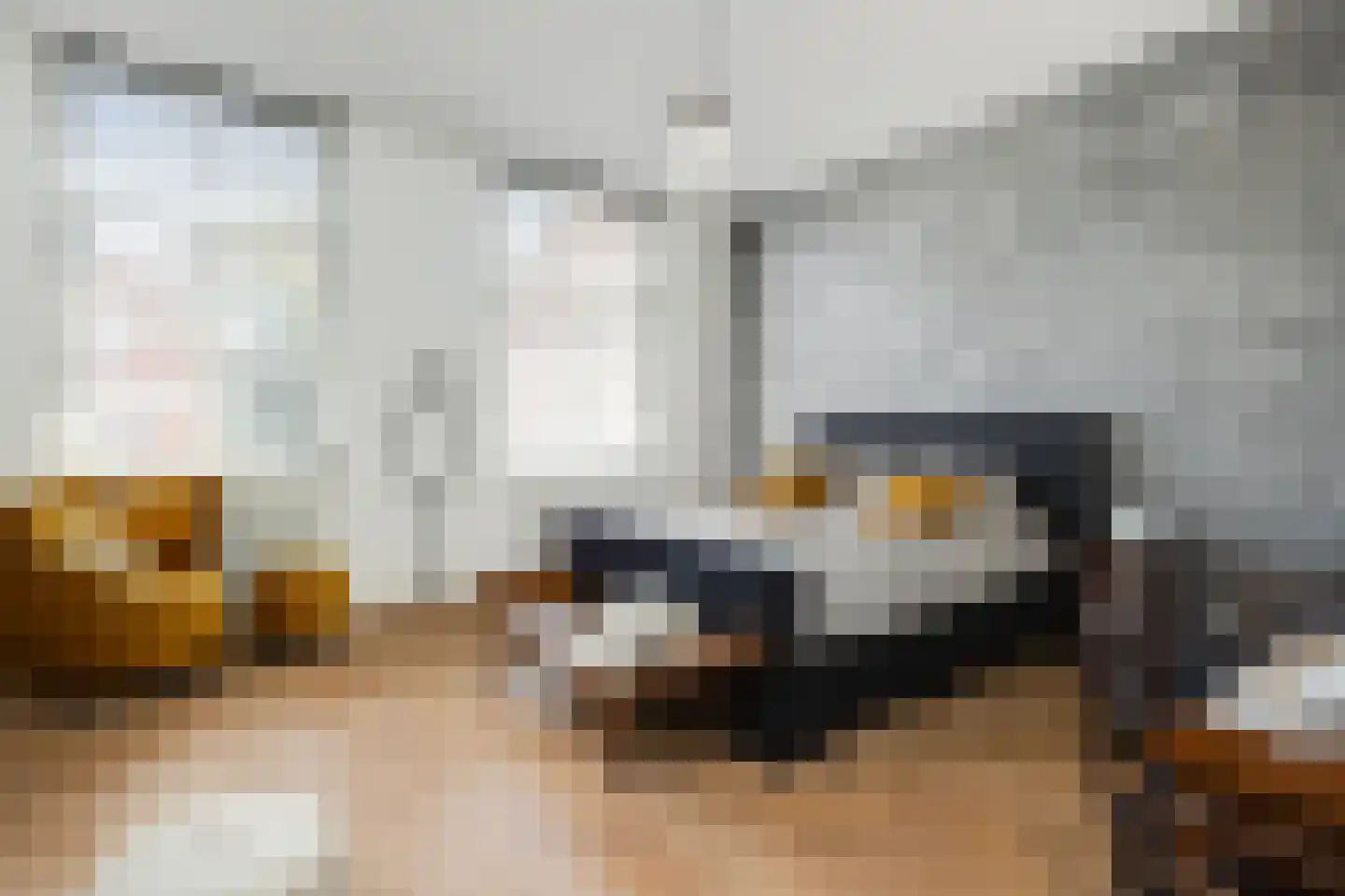 Gasthuisstraat 9 's-Hertogenbosch thumbnail 29