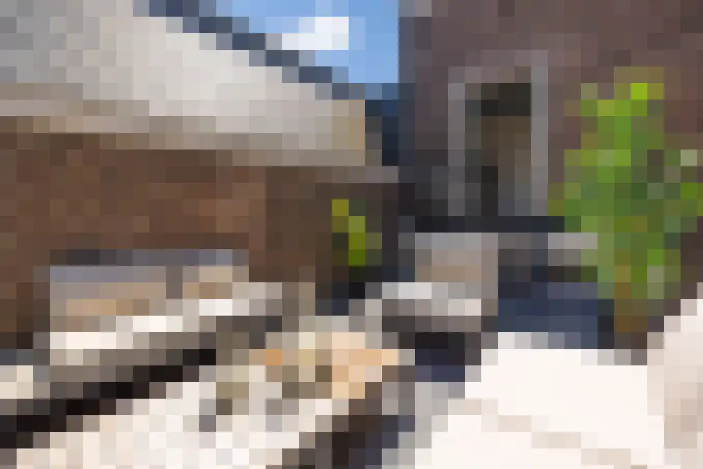 Gasthuisstraat 9 's-Hertogenbosch thumbnail 33