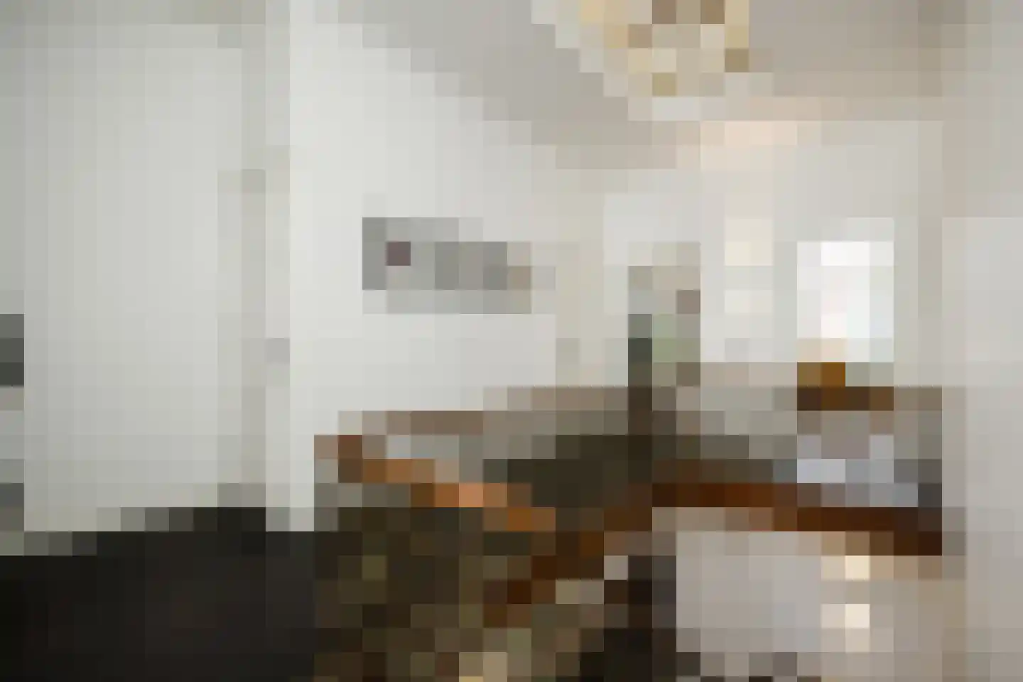 Gasthuisstraat 9 's-Hertogenbosch thumbnail 36