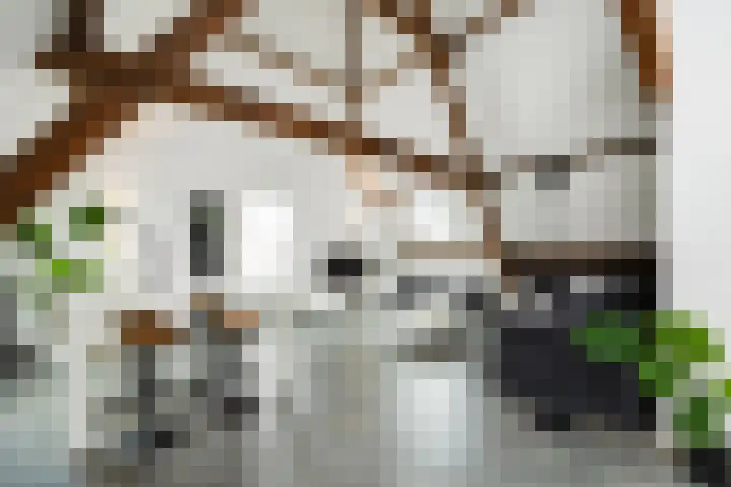 Gasthuisstraat 9 's-Hertogenbosch thumbnail 38