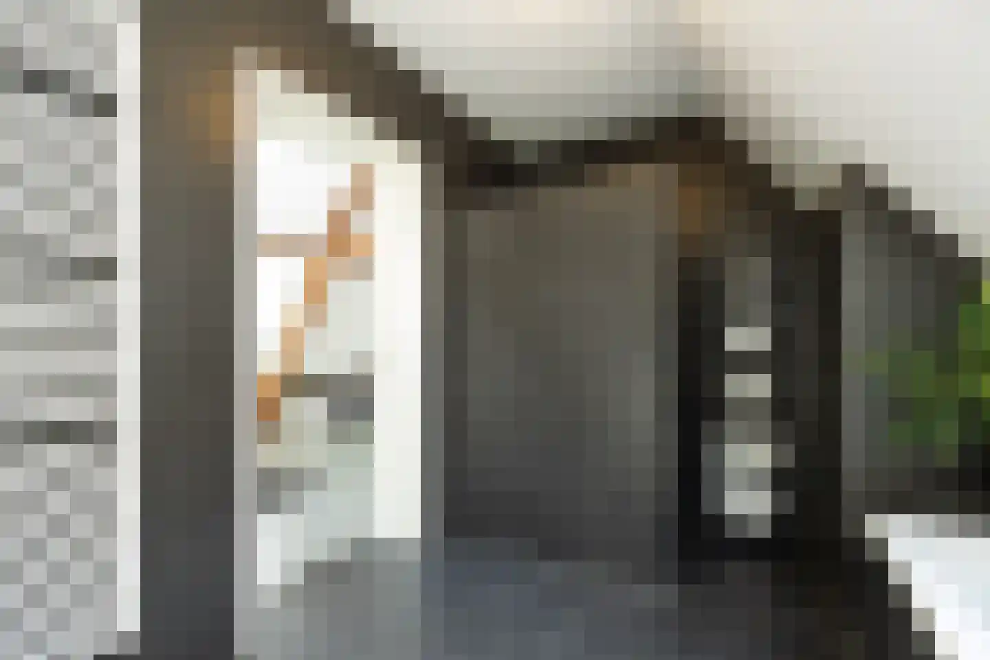Gasthuisstraat 9 's-Hertogenbosch thumbnail 42