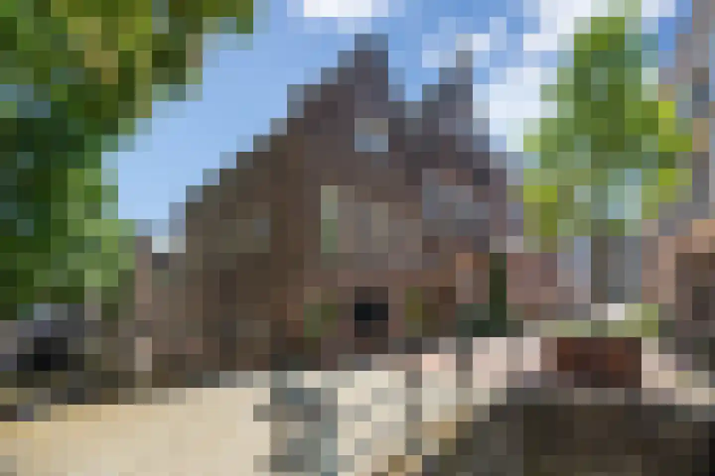 Gasthuisstraat 9 's-Hertogenbosch thumbnail 45