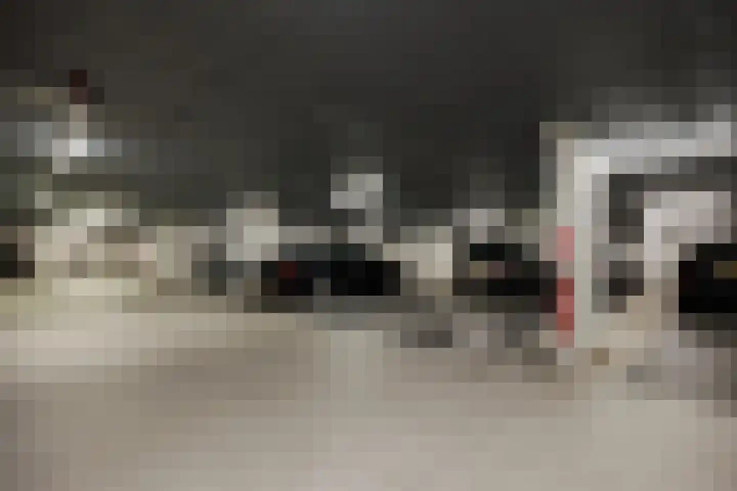 Gasthuisstraat 9 's-Hertogenbosch thumbnail 46