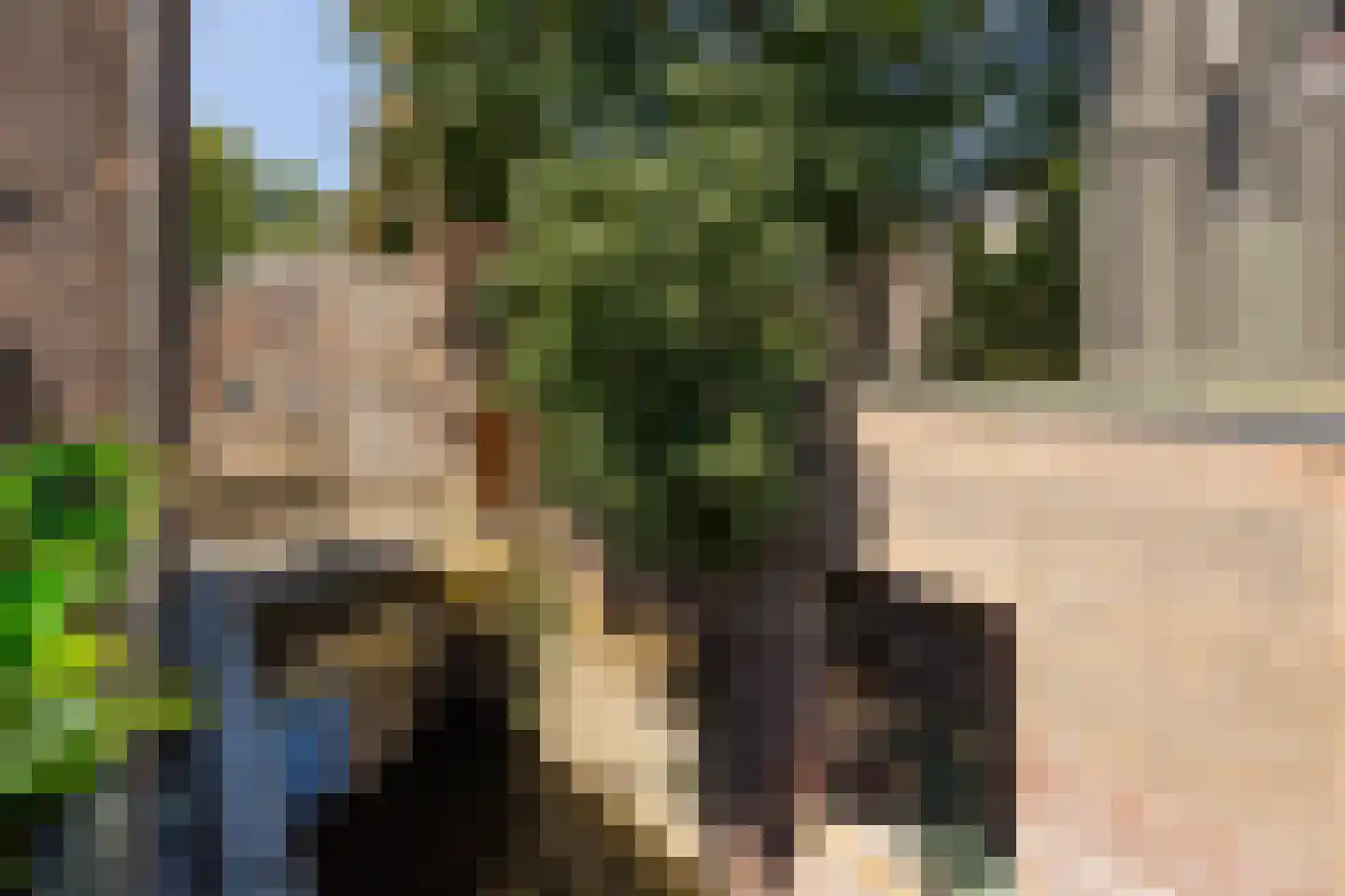 Gasthuisstraat 9 's-Hertogenbosch thumbnail 49