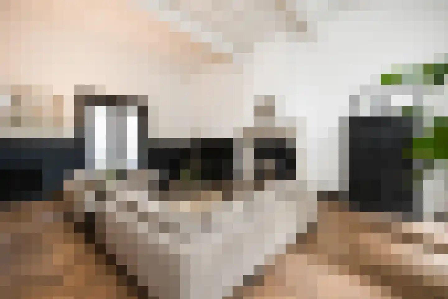 Gasthuisstraat 9 's-Hertogenbosch thumbnail 5