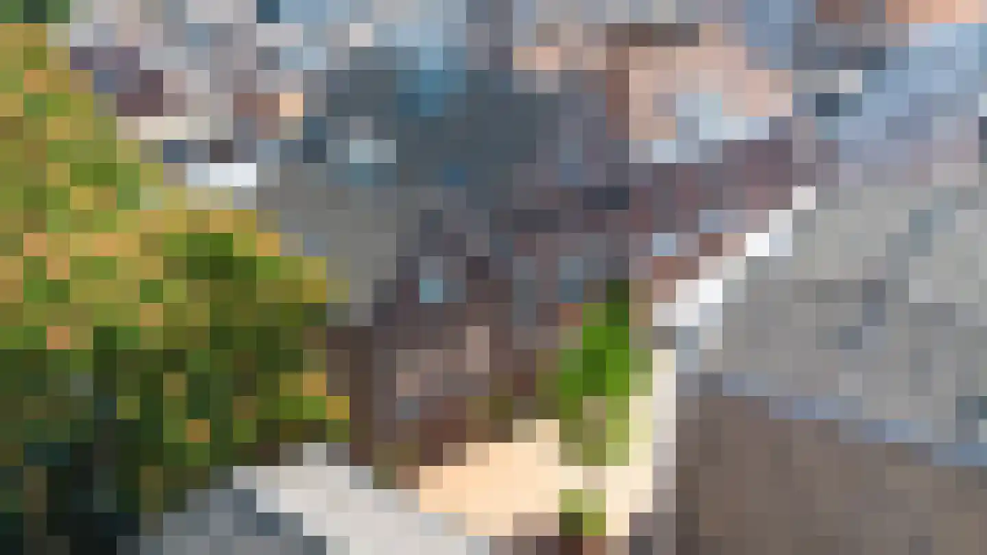 Gasthuisstraat 9 's-Hertogenbosch thumbnail 52