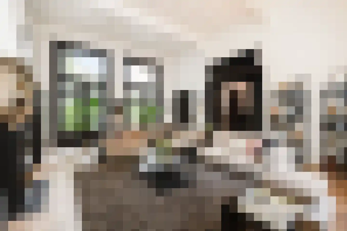 Gasthuisstraat 9 's-Hertogenbosch thumbnail 8