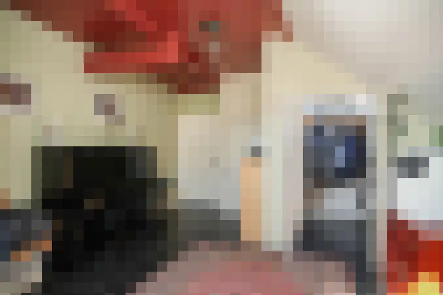 Gasthuisstraat 9 Waardenburg thumbnail 10
