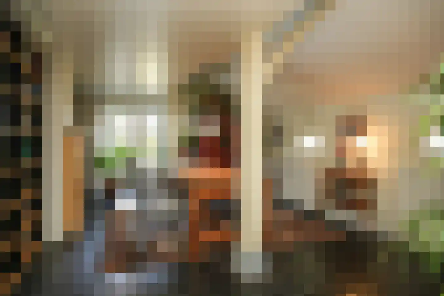 Gasthuisstraat 9 Waardenburg thumbnail 13