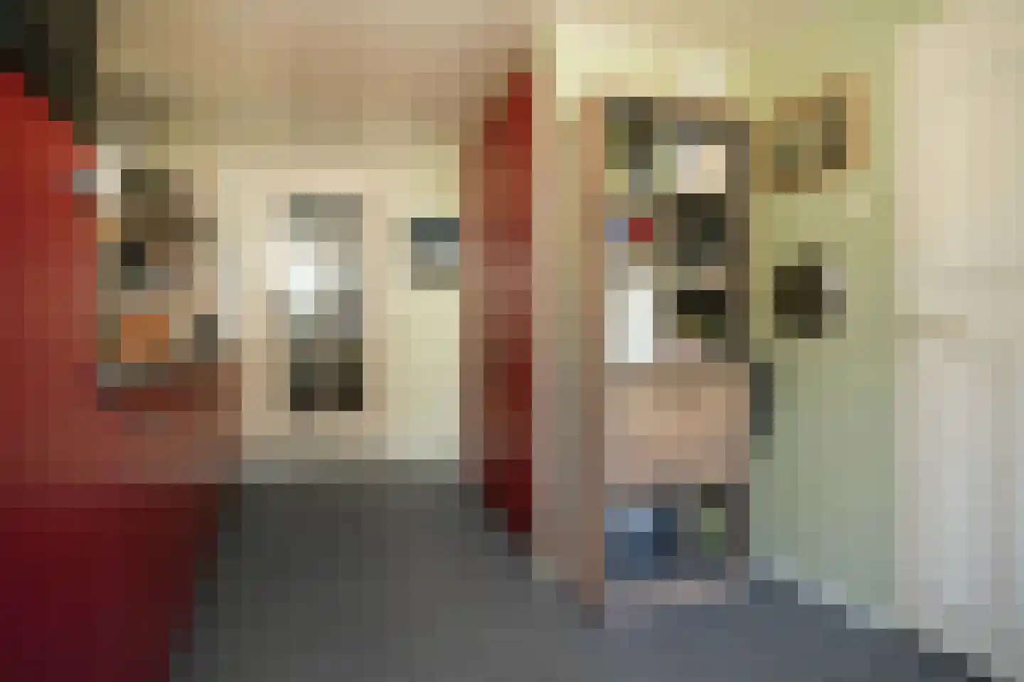 Gasthuisstraat 9 Waardenburg thumbnail 21