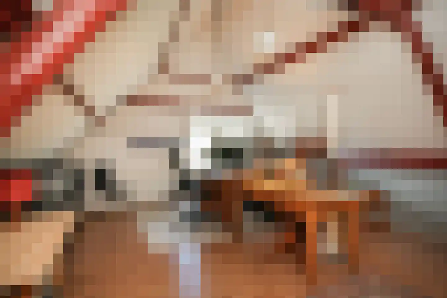 Gasthuisstraat 9 Waardenburg thumbnail 30