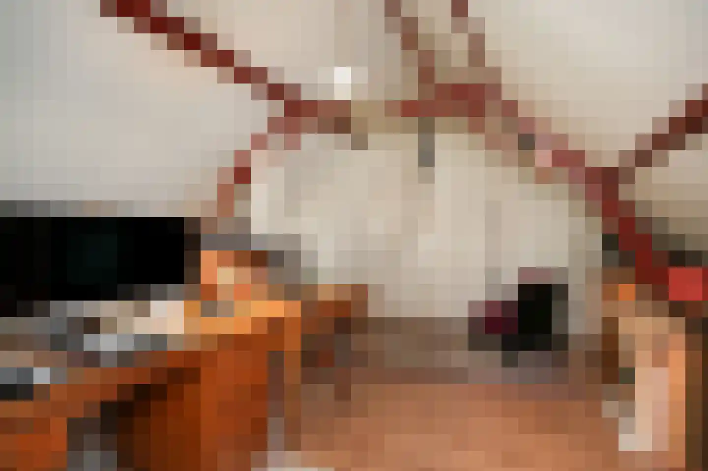 Gasthuisstraat 9 Waardenburg thumbnail 31