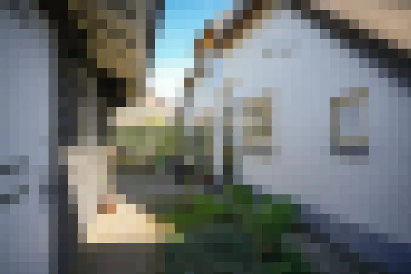Gasthuisstraat 9 Waardenburg thumbnail 32