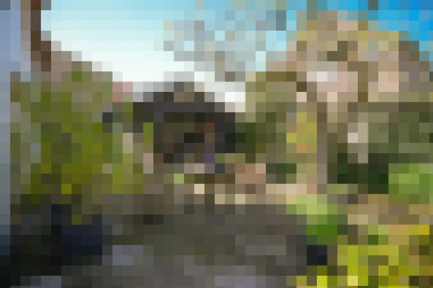 Gasthuisstraat 9 Waardenburg thumbnail 35