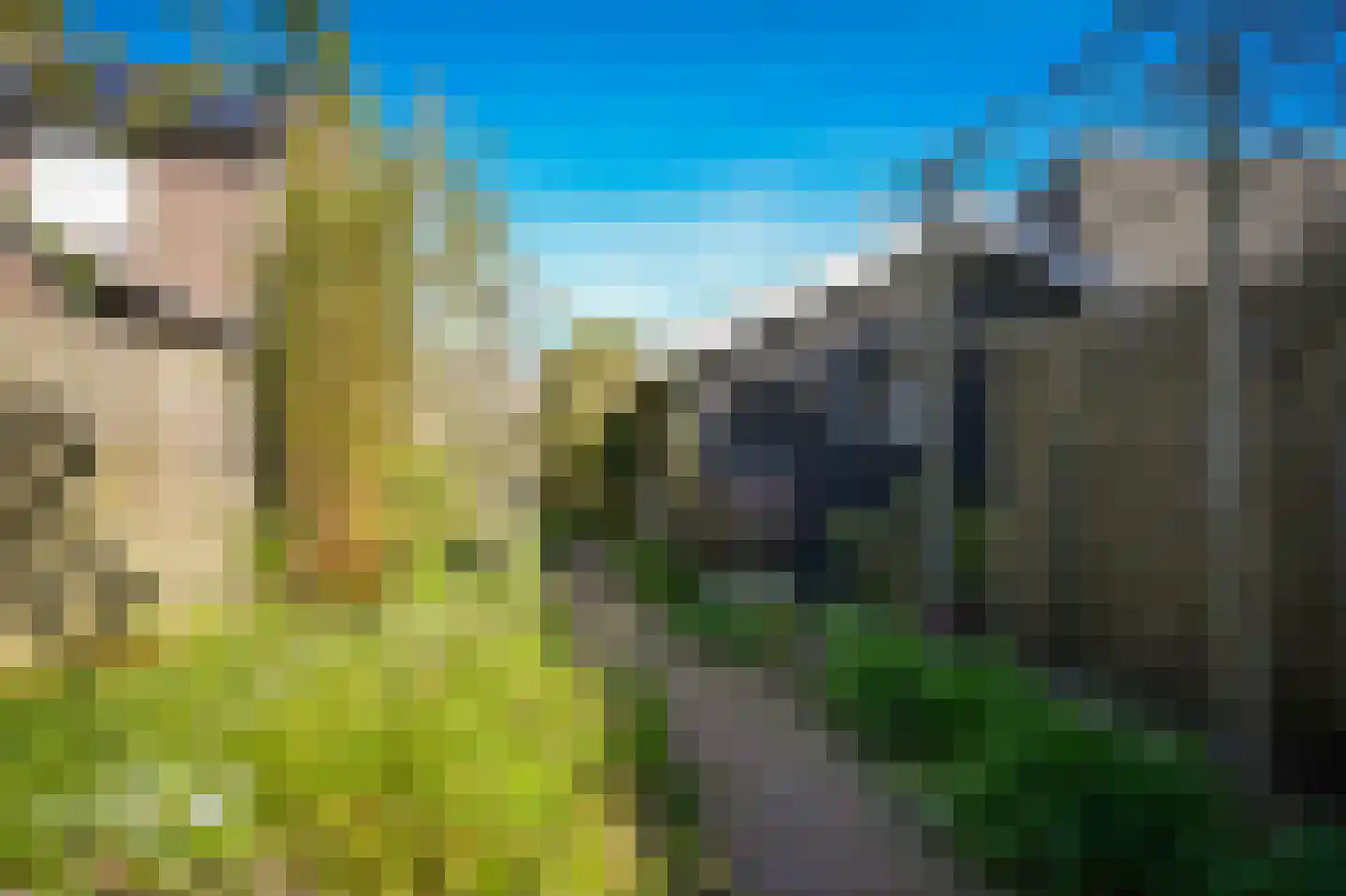 Gasthuisstraat 9 Waardenburg thumbnail 51