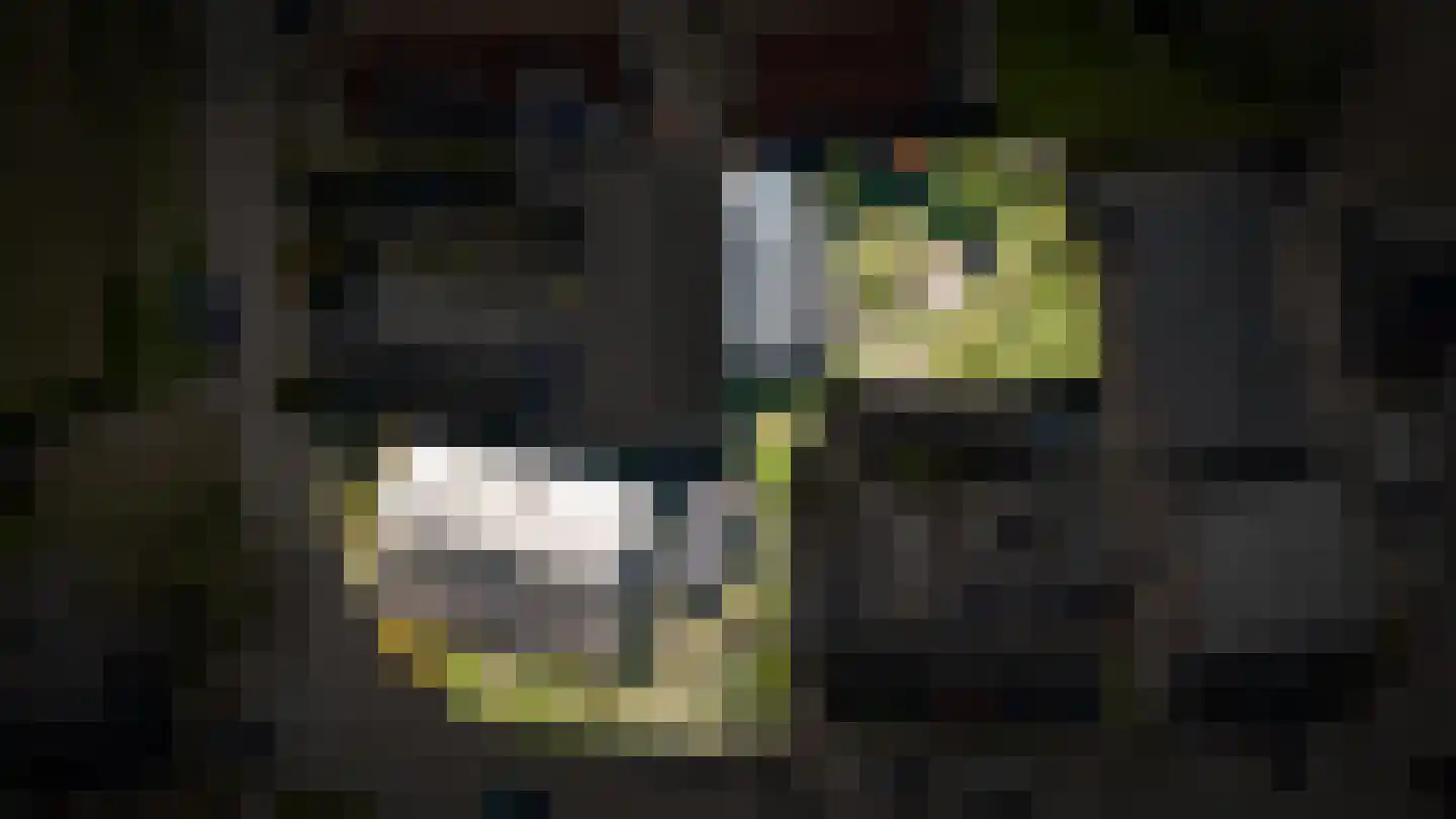 Gasthuisstraat 9 Waardenburg thumbnail 58