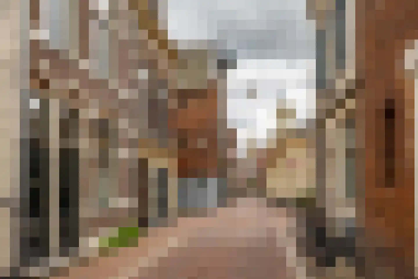 Gasthuisstraatje 5 Groningen thumbnail 29