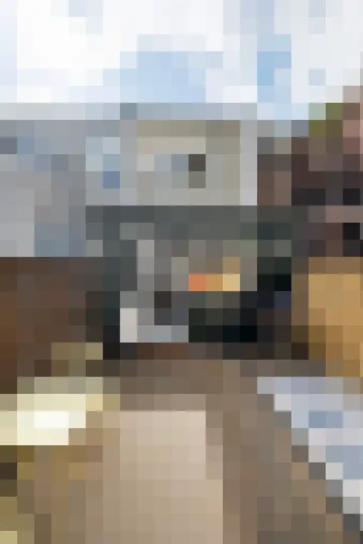 Gasthuisvest 15 RD Haarlem thumbnail 13