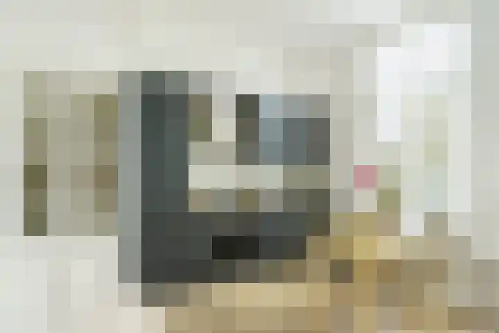 Gasthuisvest 51 Haarlem thumbnail 12