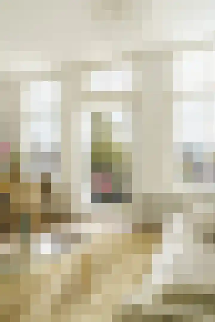 Gasthuisvest 51 Haarlem thumbnail 22