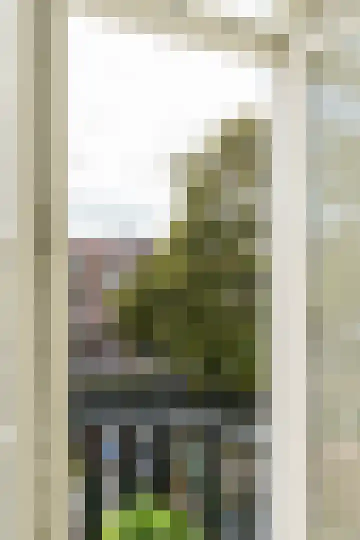 Gasthuisvest 51 Haarlem thumbnail 23