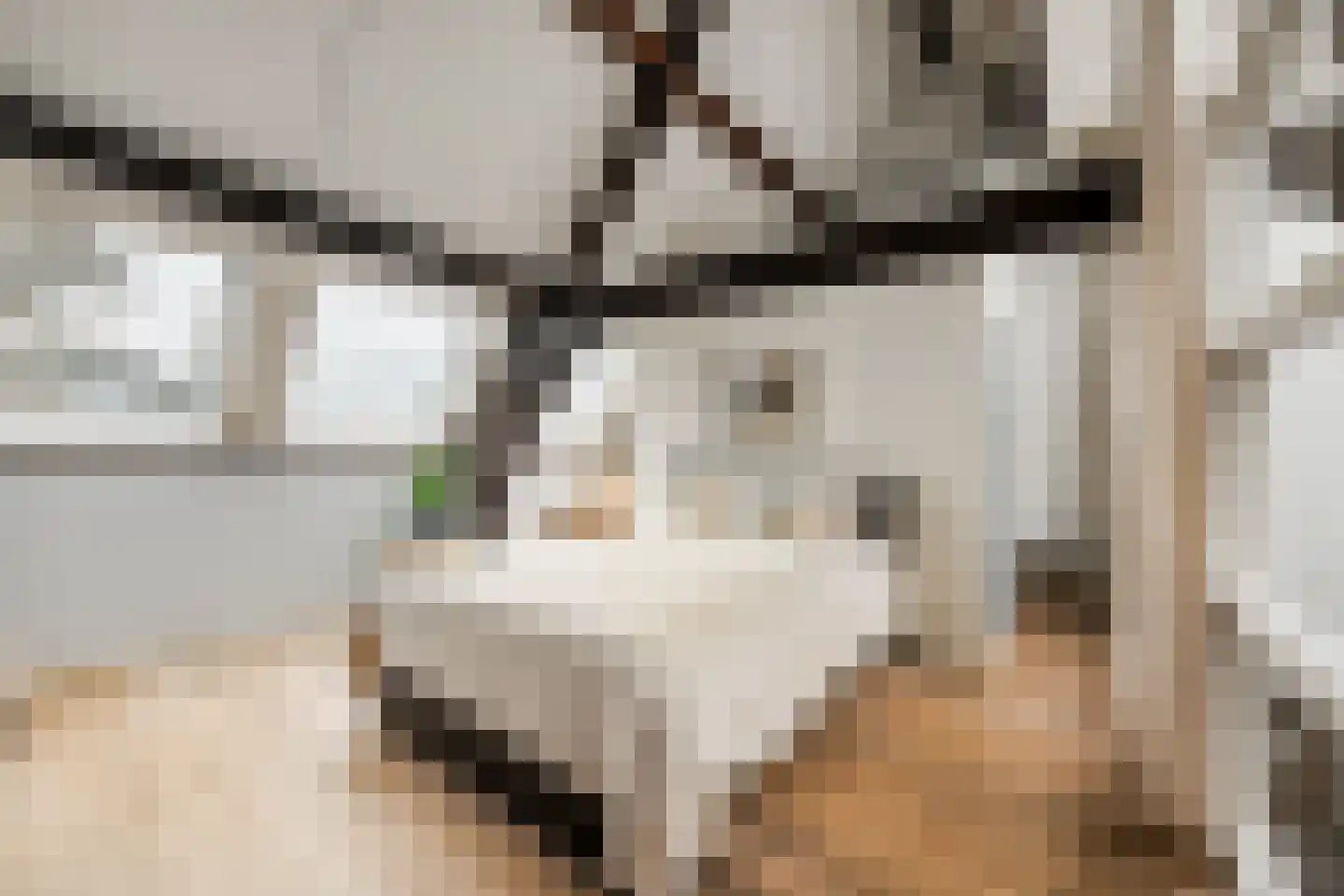 Gasthuisvest 7 D Haarlem thumbnail 15