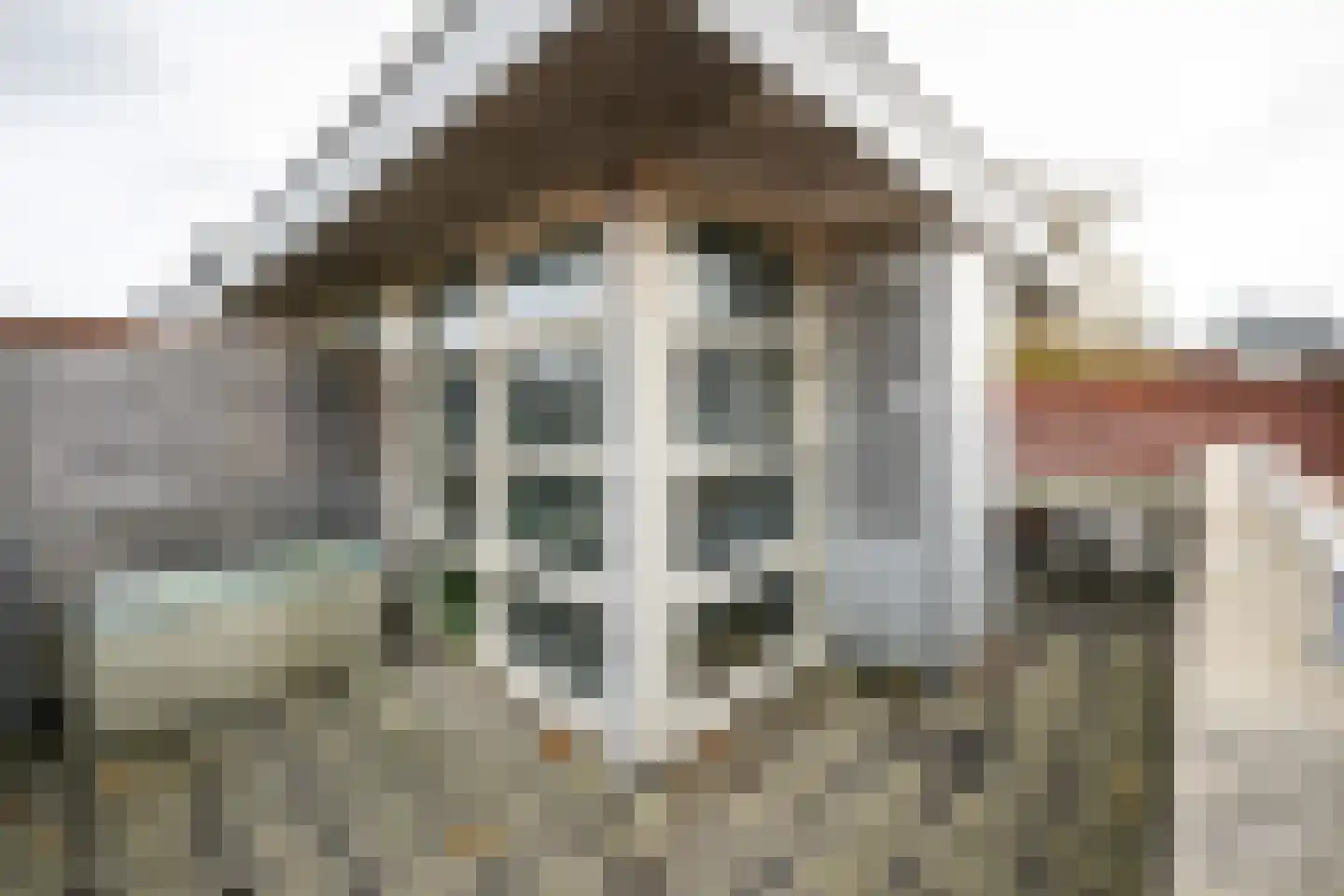 Gasthuisvest 7 E Haarlem thumbnail 24