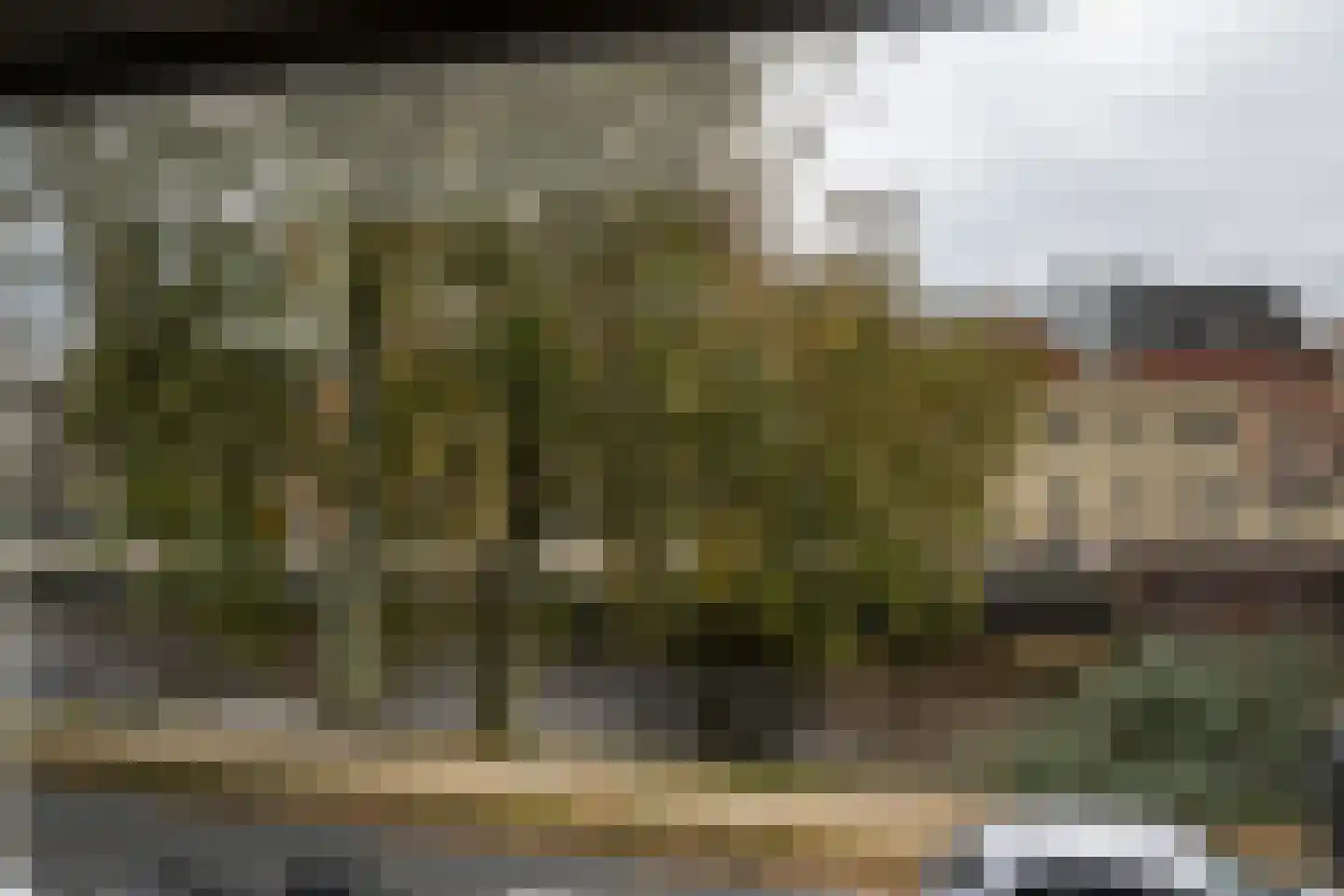 Gasthuisvest 7 E Haarlem thumbnail 5