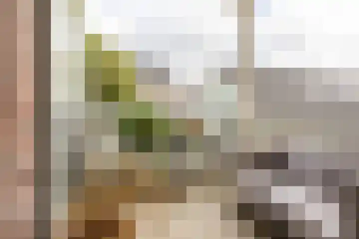 Gasthuisvest 9 Haarlem thumbnail 17