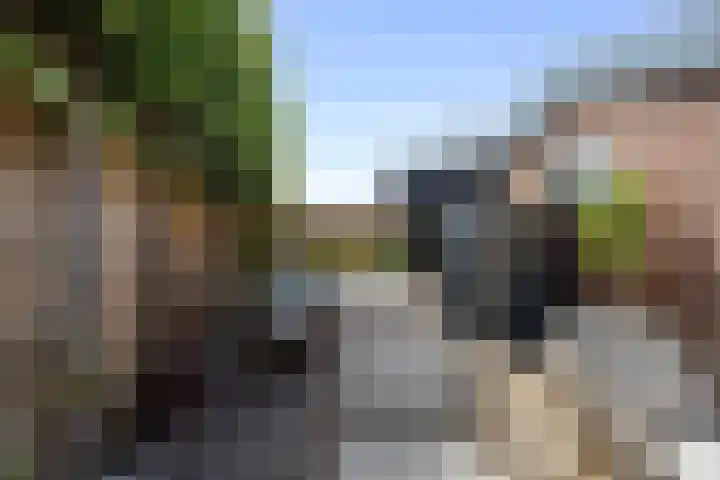 Gasthuisweg 21 Den Oever thumbnail 14