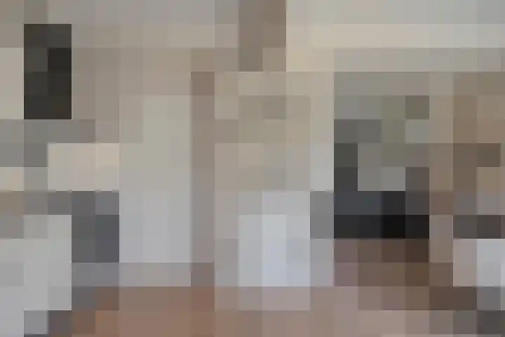 Gasthuisweg 21 Den Oever thumbnail 18