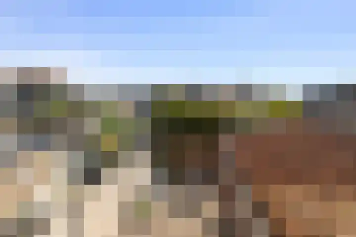 Gasthuisweg 21 Den Oever thumbnail 23