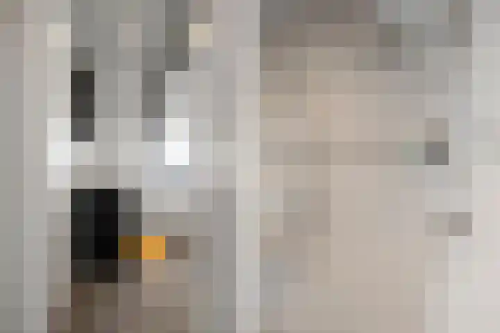 Gasthuisweg 21 Den Oever thumbnail 26
