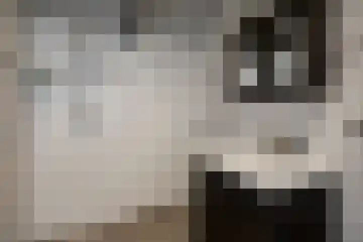 Gasthuisweg 21 Den Oever thumbnail 27