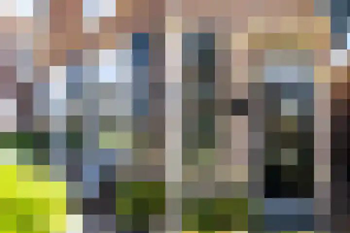 Gasthuisweg 21 Den Oever thumbnail 29