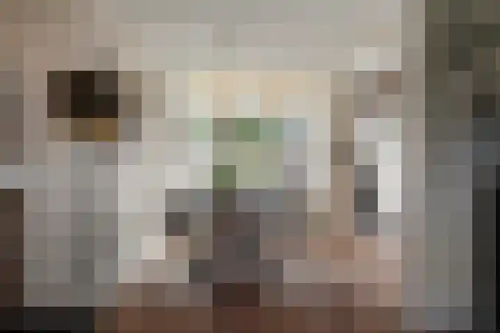 Gasthuisweg 21 Den Oever thumbnail 6